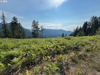 1281 Szydlo Rd, Carson, WA 98610