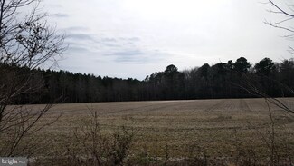 0 Forest Ln Unit MDWO120806, Snow Hill, MD 21863