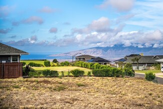 250 Leiohu Cir, Makawao, HI 96768