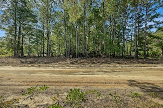 0 New Bridge Rd, Nichols, SC 29581
