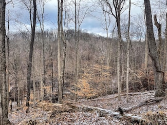 0 N Starr Rd, Campbellsburg, IN 47108