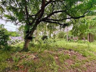 Lot 1 Walkwood St, Willis, TX 77318
