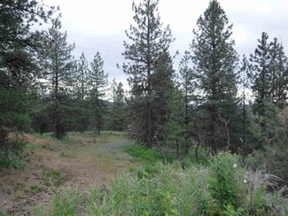 X N Bigfoot Ln, Elk, WA 99009
