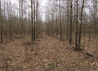 Lancaster Rd, Star City, AR 71667