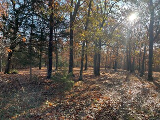 2 Powder Springs Lake Rd, Cadet, MO 63630