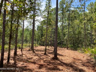 TBD Lark Ln, Hawthorne, FL 32640