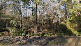 4220 Helena St, Hastings, FL 32145