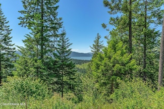 NNA  T1-A Green Monarch, Sandpoint, ID 83864