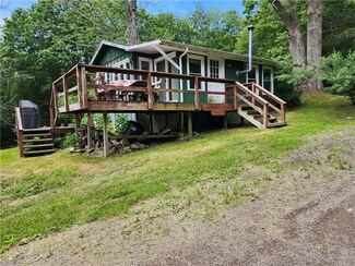 231 Melondy Hill Rd, Afton, NY 13730
