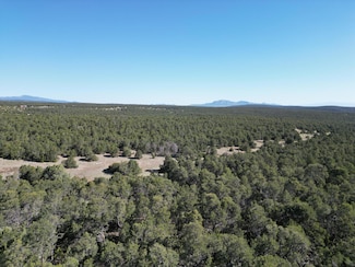 Tract 2 Gonzales Rd, Edgewood, NM 87015