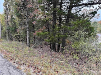 1300 Hummingbird Ln, Horseshoe Bend, AR 72512