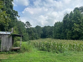 Lot 17 Pleasant View Cemetary Rd, New Market, TN 37820