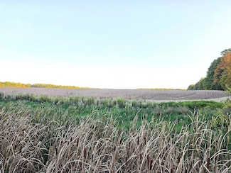 0 Wildt Hwy Unit 25051551, Kalamo Township, MI 49021