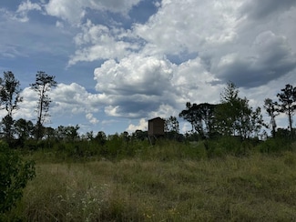 0 Busy Corner Rd & Graves Rd & N Graves Chapel Rd Unit 143166, Gloster, MS 39645