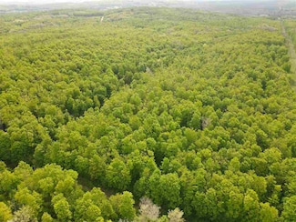 TBD Pleasant Valley Rd, Boyne City, MI 49712