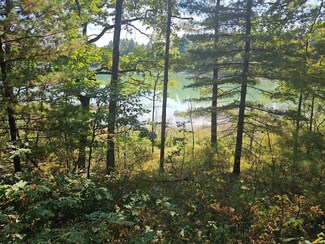 V/L Wilma's Way, Webber Township, MI 49304