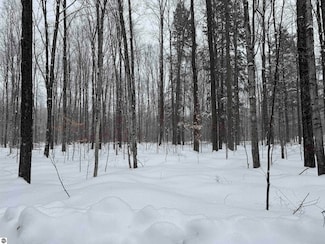 00 Dreffs Off Mccoy Rd, Gaylord, MI 49735