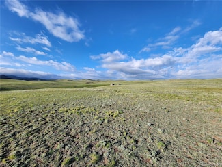 4305 Black Gatto Trail, Hartsel, CO 80449