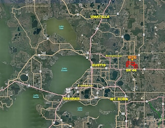 20940 Reedy Rd, Eustis, FL 32736
