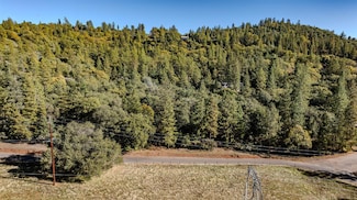 10500 Tabeaud Rd, Pine Grove, CA 95665