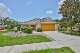 11415 Bright Star Ln, Riverview, FL 33569