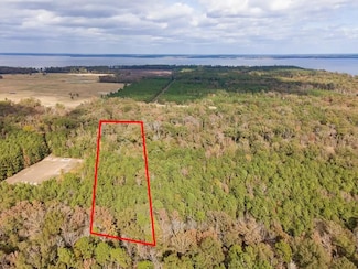 TBD Whooping Crane Rd, Shelbyville, TX 75973