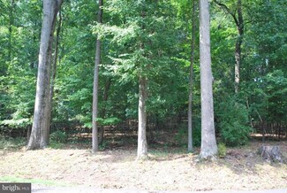 6408 Stallion Rd, Clifton, VA 20124