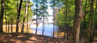 Lot 7 Belle Vista Dr, Buffalo Junction, VA 24529