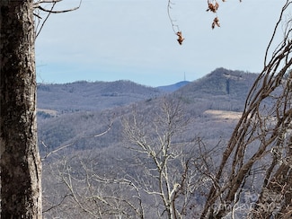 TBD Doublehead Mountain Rd, Newland, NC 28657