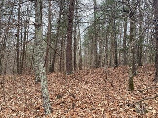 Lot 38 Ginseng Dr, Sunset, SC 29685