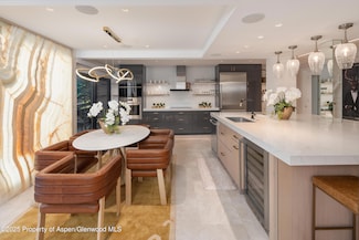 617 E Cooper Ave Unit 110, Aspen, CO 81611