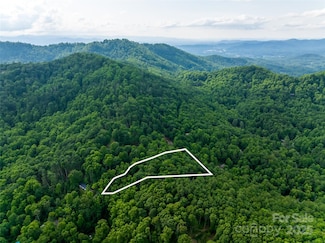 9999 White Oak Gap Rd, Asheville, NC 28803