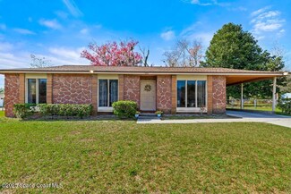 3582 Calvados Ave, Orange Park, FL 32065