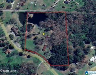 625 Dee Hendrix Rd Unit 6.9 Acres, Bessemer, AL 35023