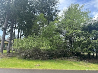 276 Bass Ave NE, Ocean Shores, WA 98569