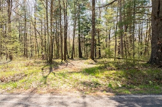 0 Squaw Point Rd, Holcombe, WI 54745