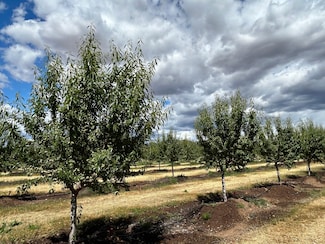 14805 Us-99, Chico, CA 95973