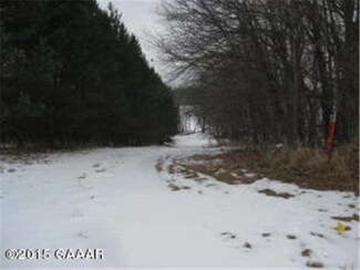0 Lot 3 Country Ln SW Unit 4712227, Farwell, MN 56327