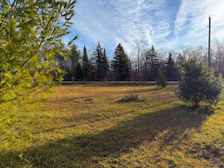 0 Brevort Lake Rd Unit 25-1160, Moran, MI 49760