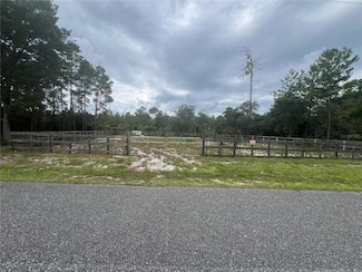 0 Georgia St Unit MFRV4938336, Paisley, FL 32767