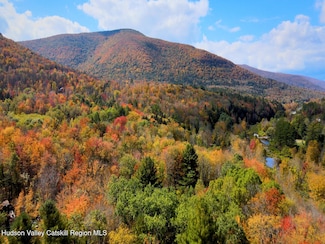 113 Windham Ridge Rd, Windham, NY 12496