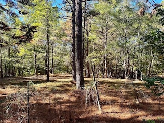 TBD County Road 3568, Woodville, TX 75979