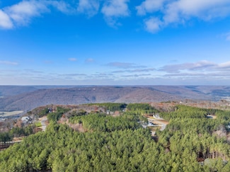 0 Crockett Point Unit 1504067, Jasper, TN 37347