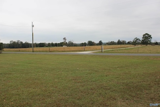 150 5th St NW, Sylvania, AL 35988