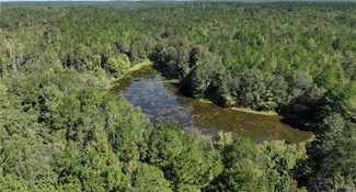 00004 Spring Dr, Sweet Water, AL 36782