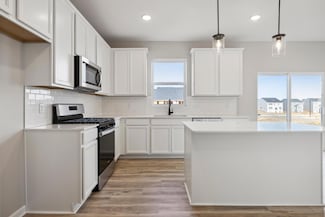 15062 Athgoe Dr, Rosemount, MN 55068