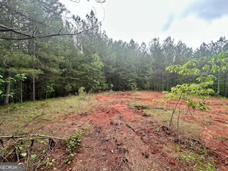 5.3-/+ Patriot Trail, Dahlonega, GA 30533