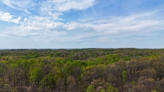 000 Bean Ridge Rd, Thebes, IL 62990