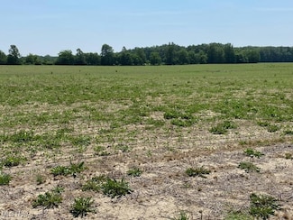 VL Twp Rd 165, Marengo, OH 43334