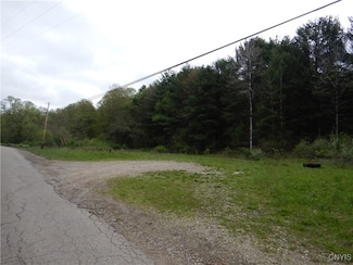 0 Wightman Rd, Wellsville, NY 14897